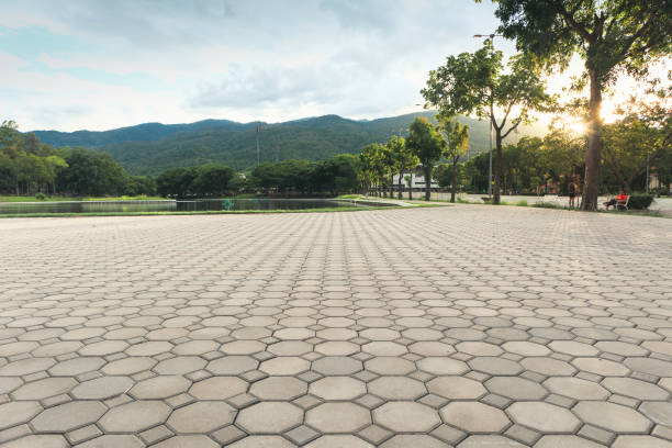 Best Driveway Repair Near Me  in Chatsworth, IL